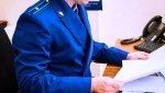 Жительница Ардатовского района 8 месяцев проведет в колонии-поселении за неуплату алиментов на содержание своих детей